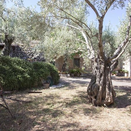 Villa Es Coco, Soller Puerto de Sóller Esterno foto
