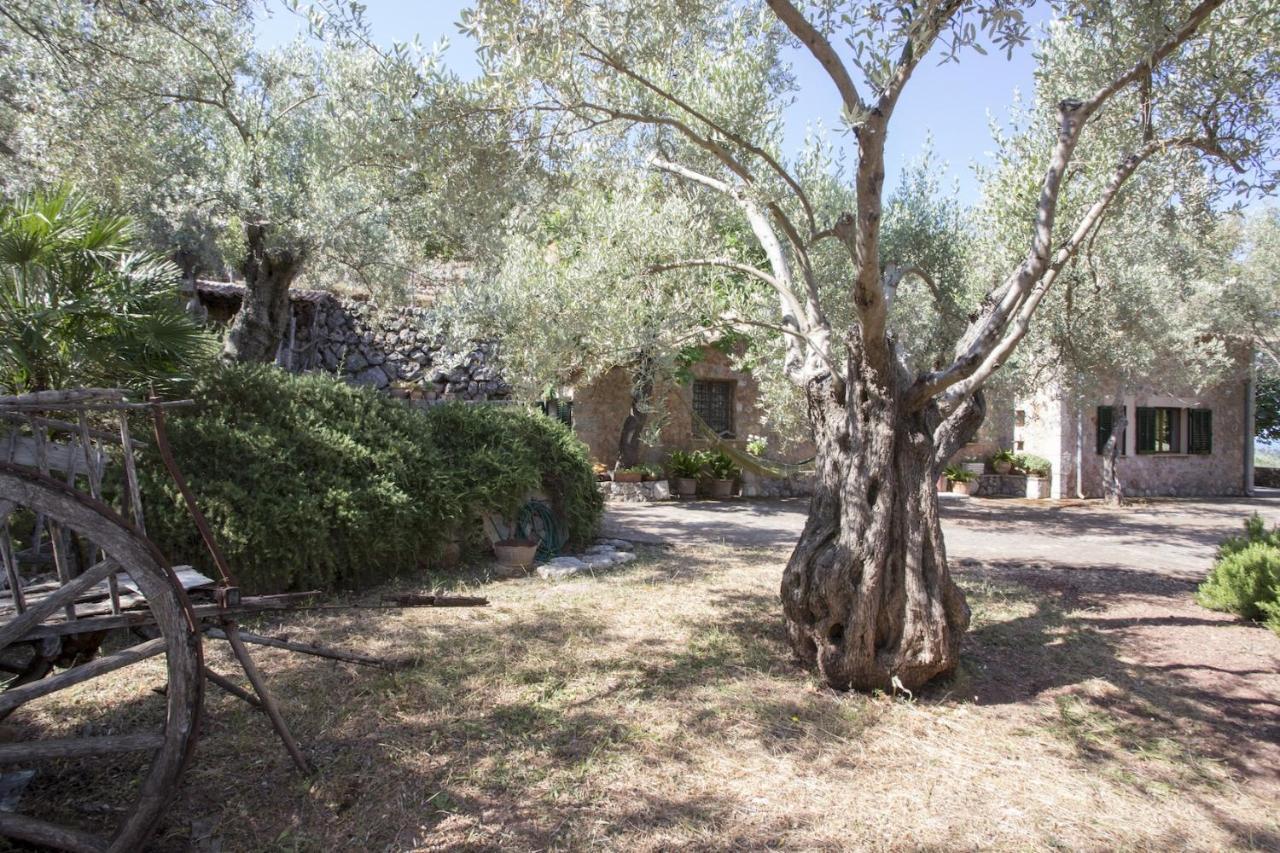 Villa Es Coco, Soller Puerto de Sóller Esterno foto