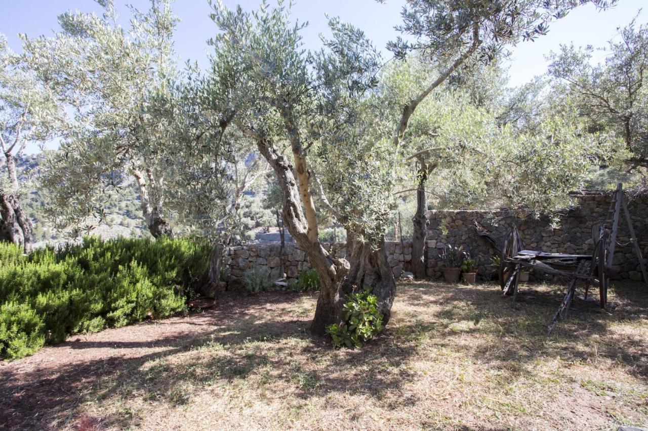 Villa Es Coco, Soller Puerto de Sóller Esterno foto