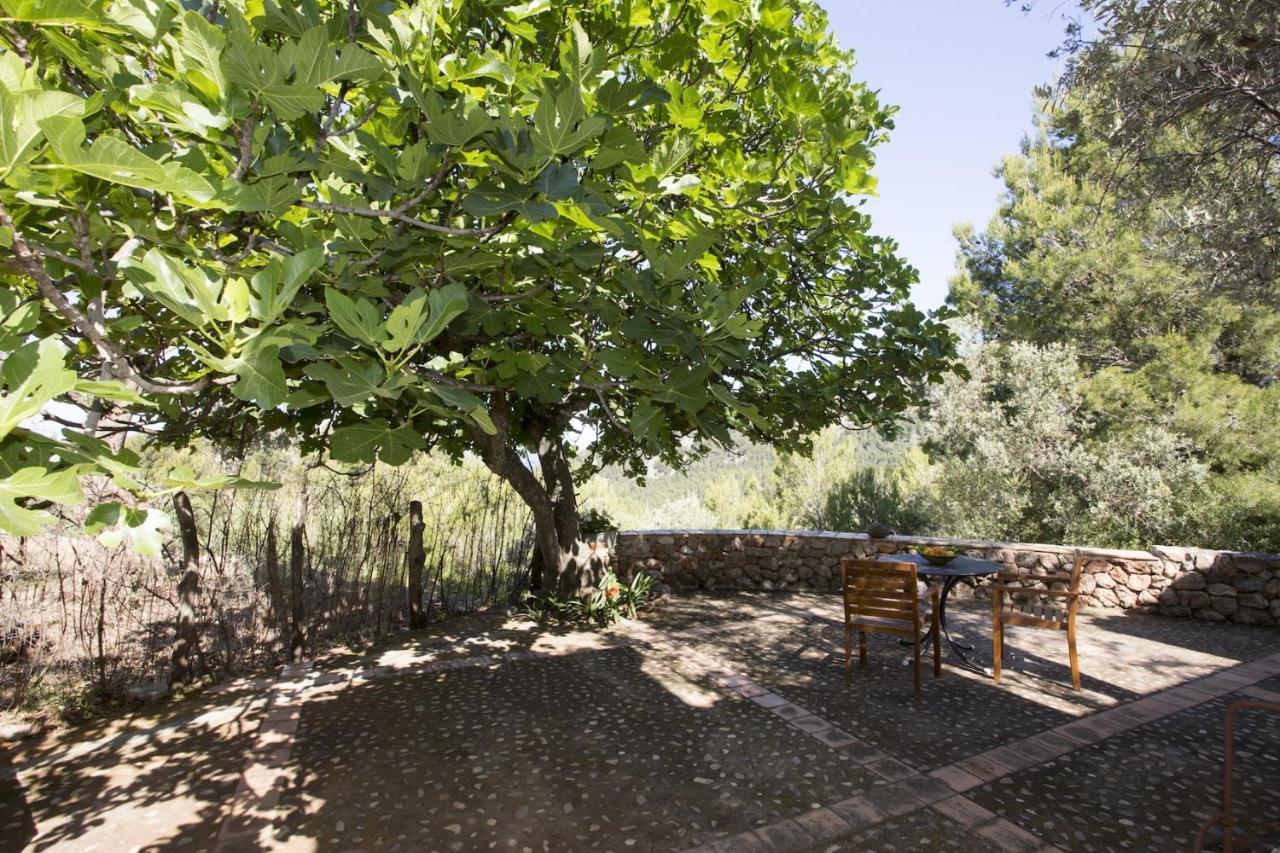 Villa Es Coco, Soller Puerto de Sóller Esterno foto