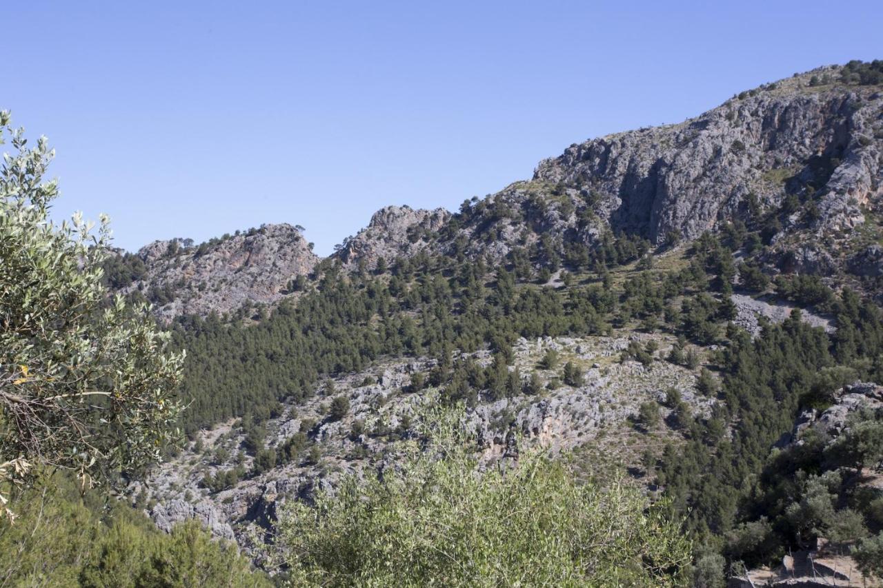 Villa Es Coco, Soller Puerto de Sóller Esterno foto